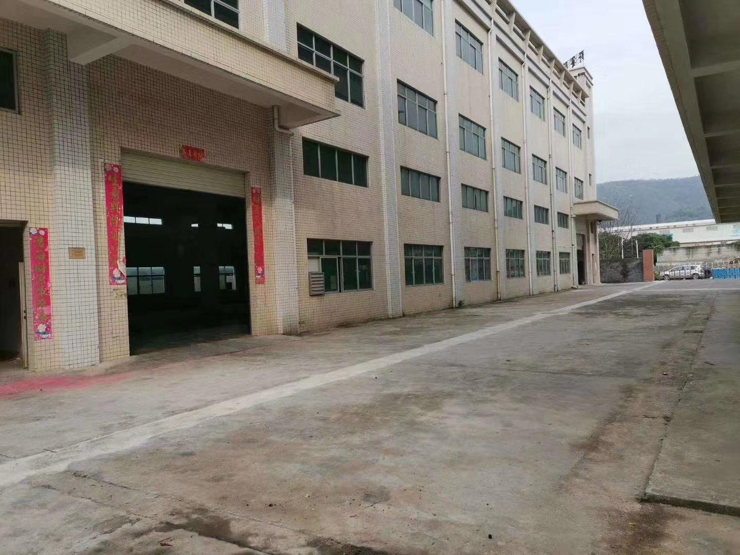 樟木頭最新招工信息，動(dòng)態(tài)、就業(yè)市場(chǎng)分析與求職指南